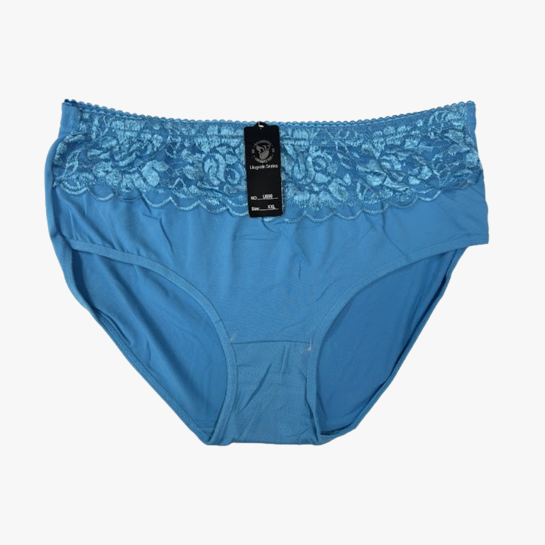 ST CHRISTINA WHOLESALE WOMEN PANTIES ASSORTED COLORS SIZES MEDIUM TO 2XL - 3130