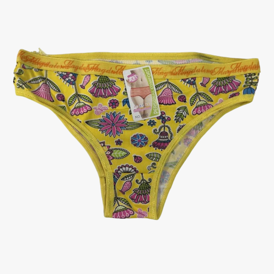 PERSONAL COMFORT WHOLESALE LADIES PANTIES ASSORTED COLORS (0025)